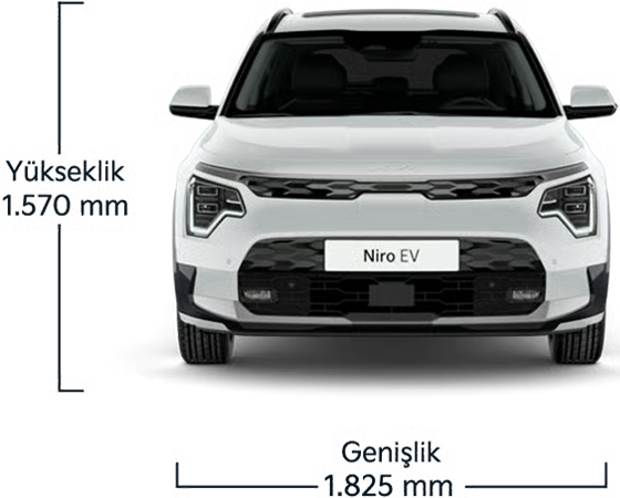 Kia_Niro_EV_940x727_On_r1